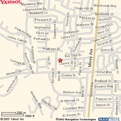 Type Your Address